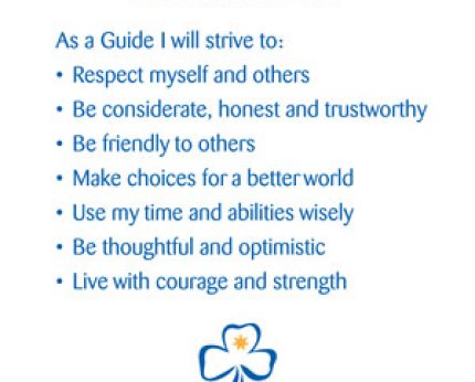 The Guide Law