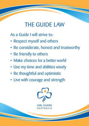 The Guide Law