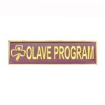 Girl Guides Olave Program Metal Badge