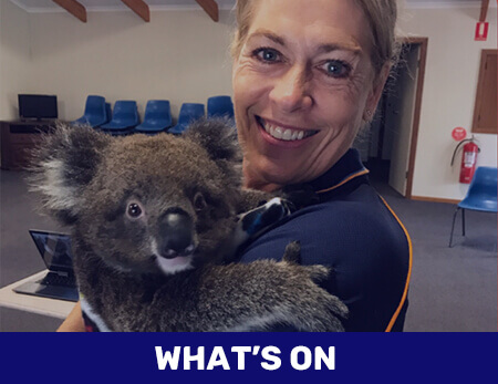 What's On at Girl Guides South Australia